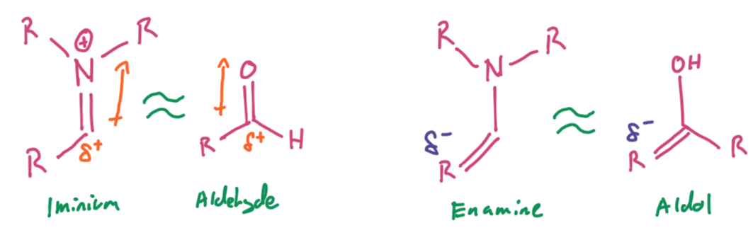 iminiumenamine